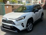 Toyota RAV4 Hybrid 4x4 Style/Pano/Leder/360/JBL/ACC/AHK - Toyota RAV 4 Gebrauchtwagen in Düsseldorf