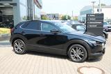 Mazda CX-30 SoMo X2.0 179PS EDITION100 ACC/BOSE/AHK - Mazda CX-30 Benzin Gebrauchtwagen