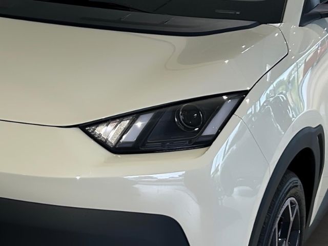 BYD DOLPHIN SURF