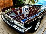 Jaguar Daimler 4.0 Automatic*2. Hand nur *59860 Km - Jaguar XJ40 Gebrauchtwagen