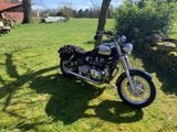 Triumph America - Offers matching your search criteria