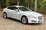 Jaguar XF 2.2 L Diesel TÜV 2027 / 74tkm Weiß - Jaguar mit Diesel-Antrieb: 2.7