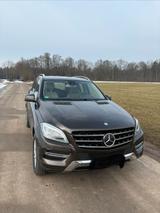 Mercedes-Benz Mercedes ML 350 4matic - : Mercedes Ml