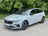 Skoda 1.0TSi DSG Monte Carlo Side Assist KAMERA LM17"