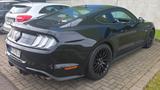 Ford Mustang 5.0 V8 GT *MagneRide* - Ford Mustang in Krefeld