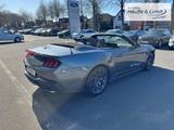 Ford Mustang Convertible 5.0 Ti-VCT V8 328 kW GT Navi - Ford mit Benzin-Antrieb: Cabrio
