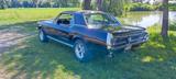 Ford Mustang 302CUI Coupe - Ford: 302