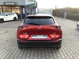 Mazda CX-30 2.0-X AWD Leder Bose Matrix-LED AHK Select - Mazda CX-30 Gebrauchtwagen