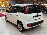Fiat Panda 1.2 Pop|Klima|Isofix|5 Türer|weiß/&rot| - scheckheftgepflegte Fiat Panda