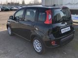 Fiat Panda MY24 1.0 Klima PDC Citypaket - Fiat Panda Gebrauchtwagen
