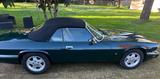 Jaguar XJS 6.0 V12 Convertible - Jaguar aus 1993