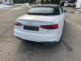 Audi A5 40 TFSI S tronic Cabriolet S line  - gebrauchte Cabrios in Zwickau
