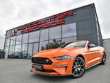 Ford Mustang Cabrio 2.3 EcoBoost 55-Paket* 4-Rohr* - : Cabrio, 55