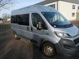 Fiat ducato 06/2016 2,3 150 PS 9 sitzer - Fiat Ducato: 1.9