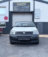Fiat Panda 1.1 8V Active - Fiat Panda Gebrauchtwagen in Münster