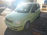 Fiat Panda 1.2 8V Dynamic - Fiat Panda Gebrauchtwagen