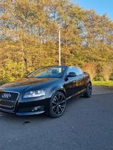 Audi A3 1.6 Attraction Cabriolet Attraction - Audi A3: Cabrio, 1.6