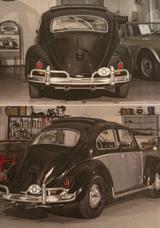 Volkswagen Käfer - Volkswagen Käfer: Schwarz