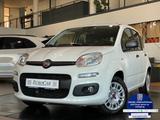Fiat Panda 1.2 8V Easy CityPaket+ Connect Sitzhzg DAB - gebrauchte Fiat Panda aus dem Jahr 2020