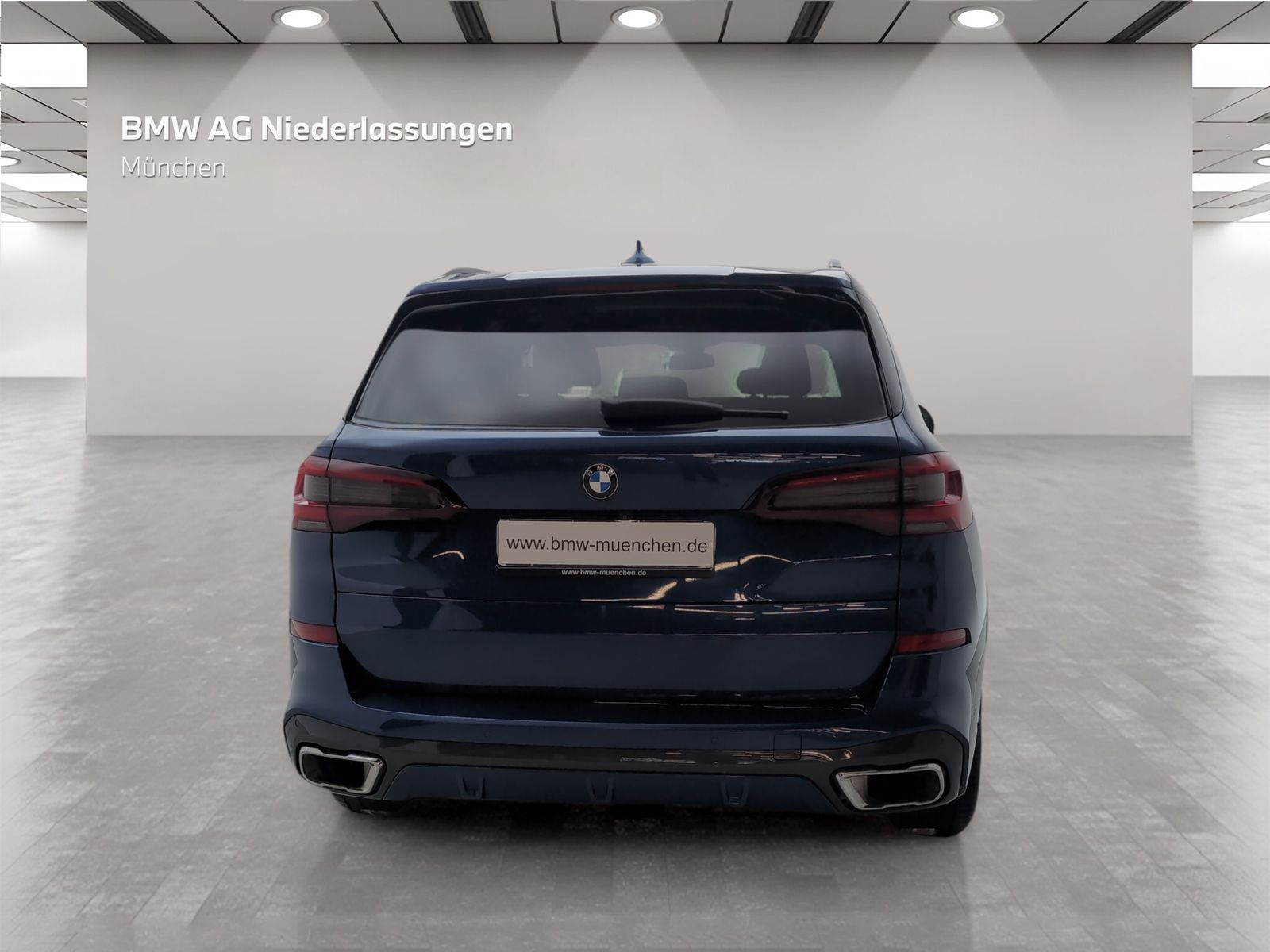 BMW X5 xDrive40i M Sport Standheizung AHK Kamera foto 5