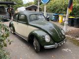 Volkswagen Brezelkäfer, frühe Split-Window-Ausführung - VW Käfer Gebrauchtwagen in Dortmund
