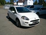 Fiat Punto Easy Automatik PDC Alu Klima - gebrauchte Fiat Punto aus dem Jahr 2012