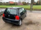 Volkswagen VW Lupo 3L TDI - Volkswagen Lupo: TDI 3l