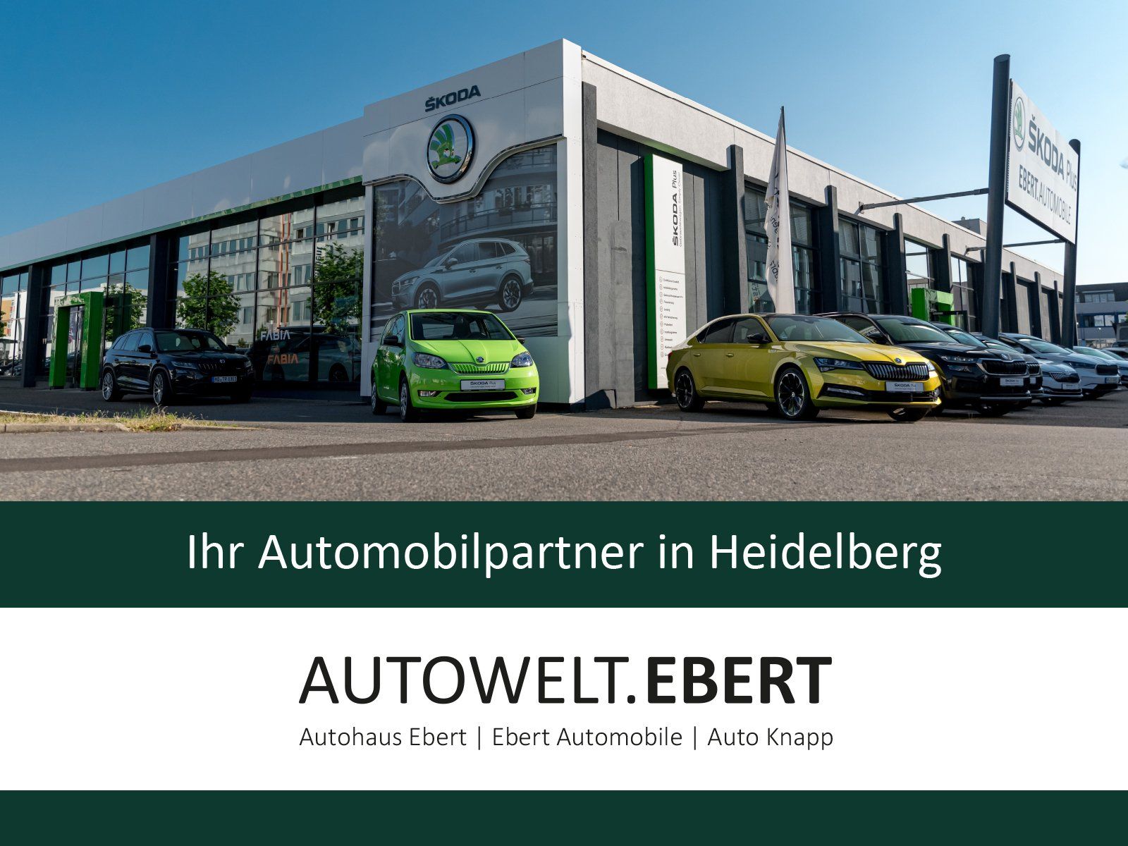 Fahrzeugabbildung SKODA Fabia 1.5 TSI Drive DSG/PANO-DACH/LED/KAMERA/ACC