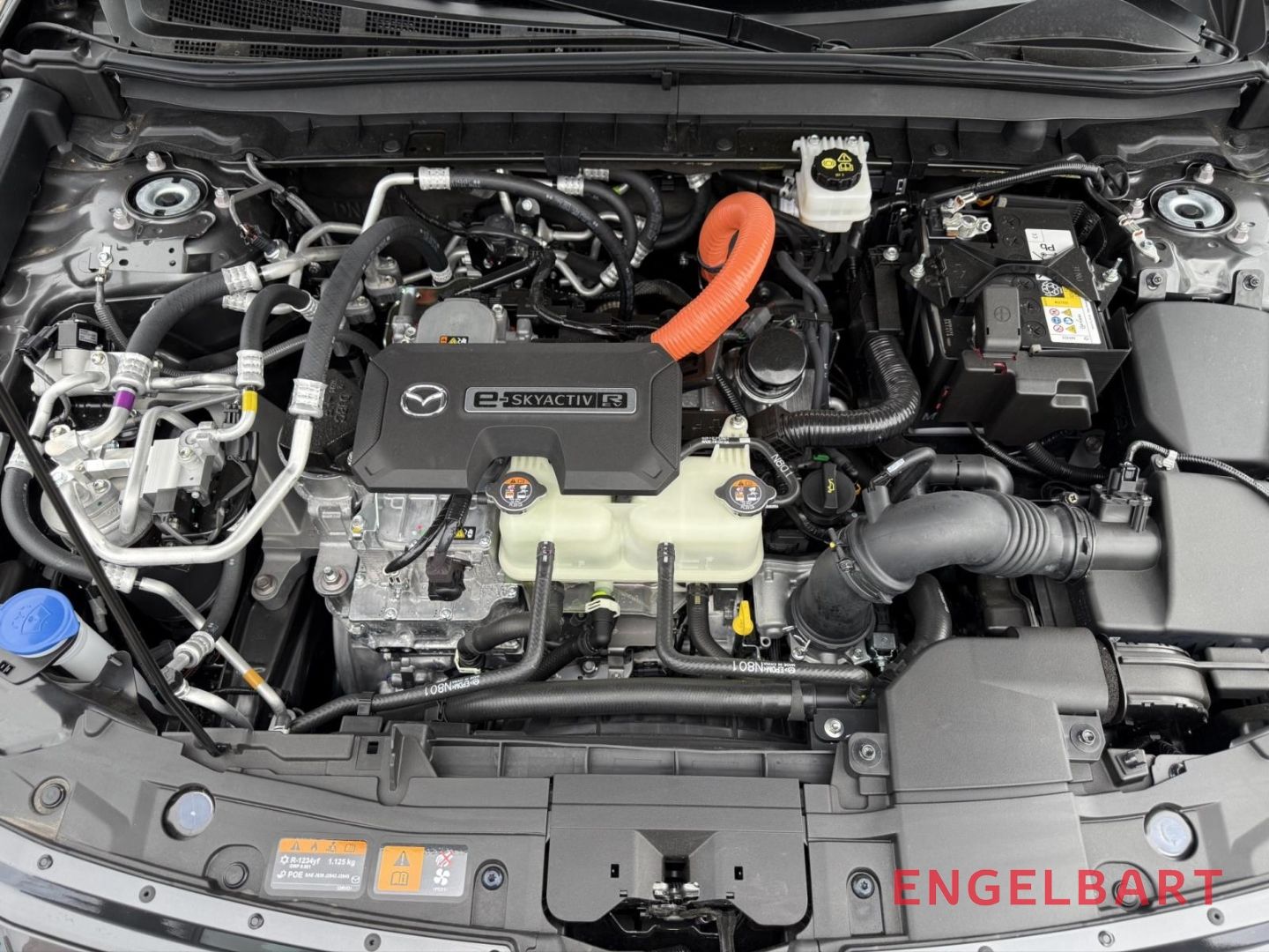 Mazda MX-30 - Bild 14