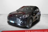 Andere KUGA 2.0 ECOBLUE 120CV POWERSHIFT N1 AWD ST-LINE - Andere: Power