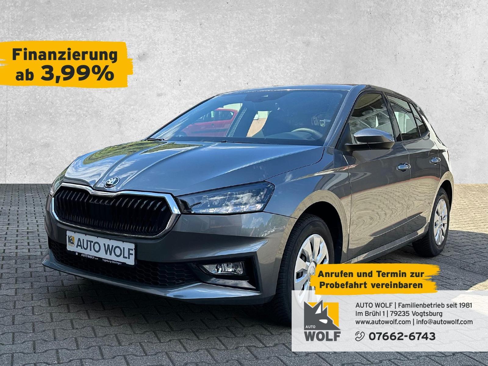 Skoda Fabia 1.0 TSI Selection *PDC*AppConnect*