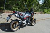 Honda MSX 125 FESTPREIS Griffheizung+ Bugspoiler - Offers