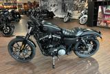 Harley-Davidson XL883N Iron  - HARLEY-DAVIDSON IRON 883