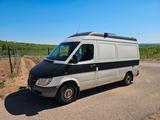 Mercedes-Benz Sprinter Camper 313 CDI - : Kombi, Camper