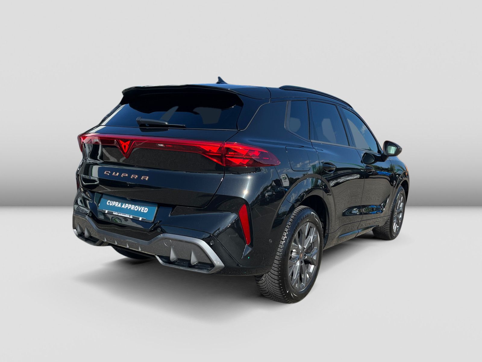 Cupra Terramar 2.0TSI DSG 4Drive Matrix HUD ACC Navi foto 4