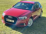 Audi A3 2.0 TDI - TÜV+Inspektion NEU, 8-fach bereift - Audi A3