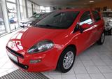 Fiat Punto 1.4 8V Lounge Sitzheizung Tempomat - Fiat Punto: Rot