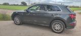 Audi Q5 2.0 TDI 140kW S tronic quattro sport sport - Audi Q5 in Mannheim