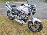 Honda  Hornet PC 34 - HONDA 1999 HORNET