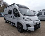 LMC Innovan 600 Fiat Autom. 140 PS,Markise,RÜ-Kamera - LMC Innovan