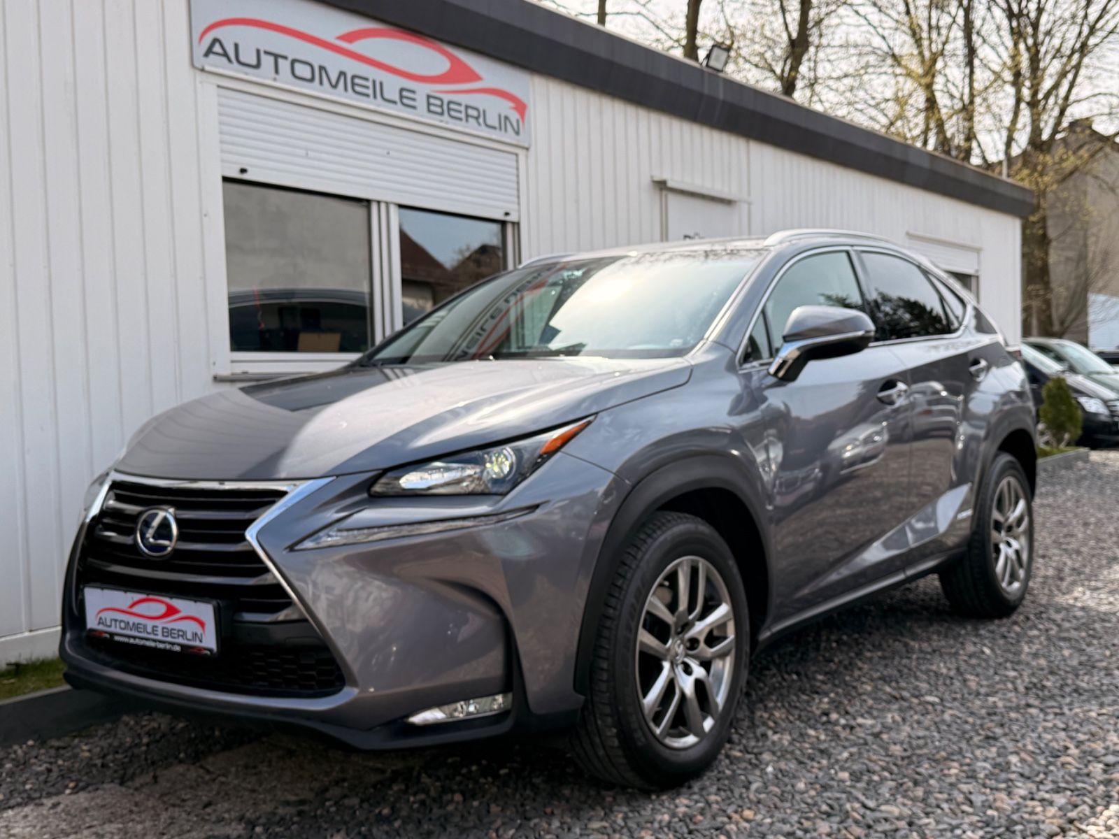 LEXUS NX 300