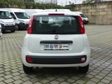 Fiat Panda EASY 1.2 8V 69PS KLIMA RADIO  ALLWETTER - Fiat Panda: Easy