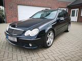 Mercedes-Benz Mercedes Benz S203 C55 AMG T-Modell 1of595... - Mercedes-Benz C 55 AMG Gebrauchtwagen