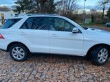 Mercedes-Benz ML 350 BlueTEC 4MATIC - - Mercedes-Benz ML 350 Gebrauchtwagen in Stuttgart