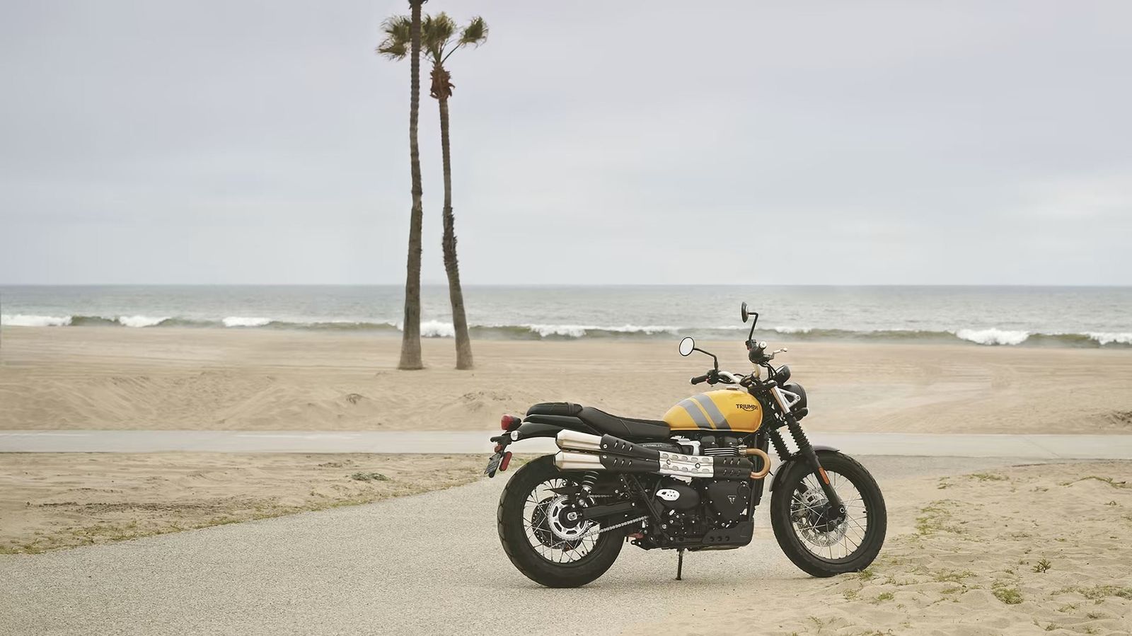 Fahrzeugabbildung Triumph Scrambler 900 sofort Verfügbar