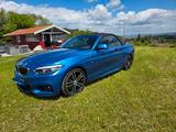 BMW 230i Cabrio M-Paket - BMW 230: I