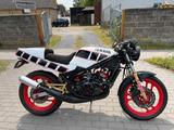 Yamaha RD 350 YPVS 1WX auch Inzahlungnahme - Offers