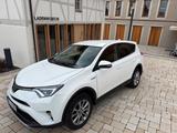 Toyota RAV 4 2,5-l-Hybrid 4x2 Team Deutschland  - Toyota RAV 4 aus 2019