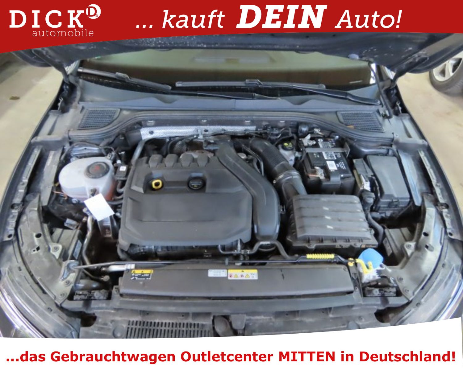 Fahrzeugabbildung Volkswagen Golf VIII Life 1.5 TSI ACC/LED/VIRTU/NAVI/RFK