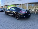Porsche Cayman GTS - Porsche Cayman in Köln